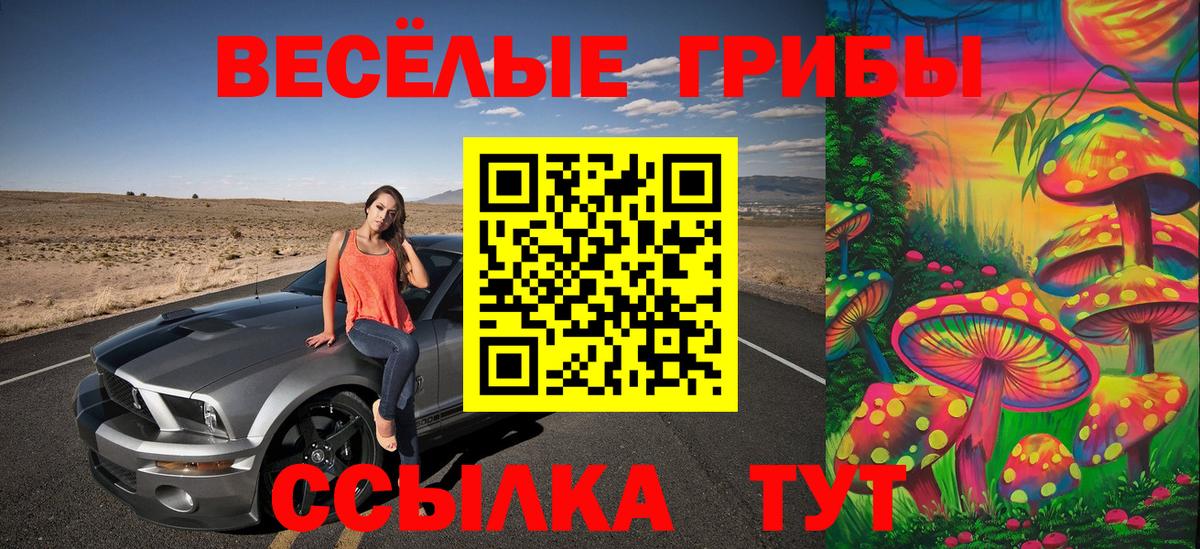 Галлюциногенные грибы Magic Shrooms Свободный